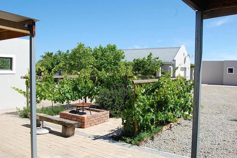 Longacre Olive & Vineyard Estate Guest House Langebaan Exterior photo